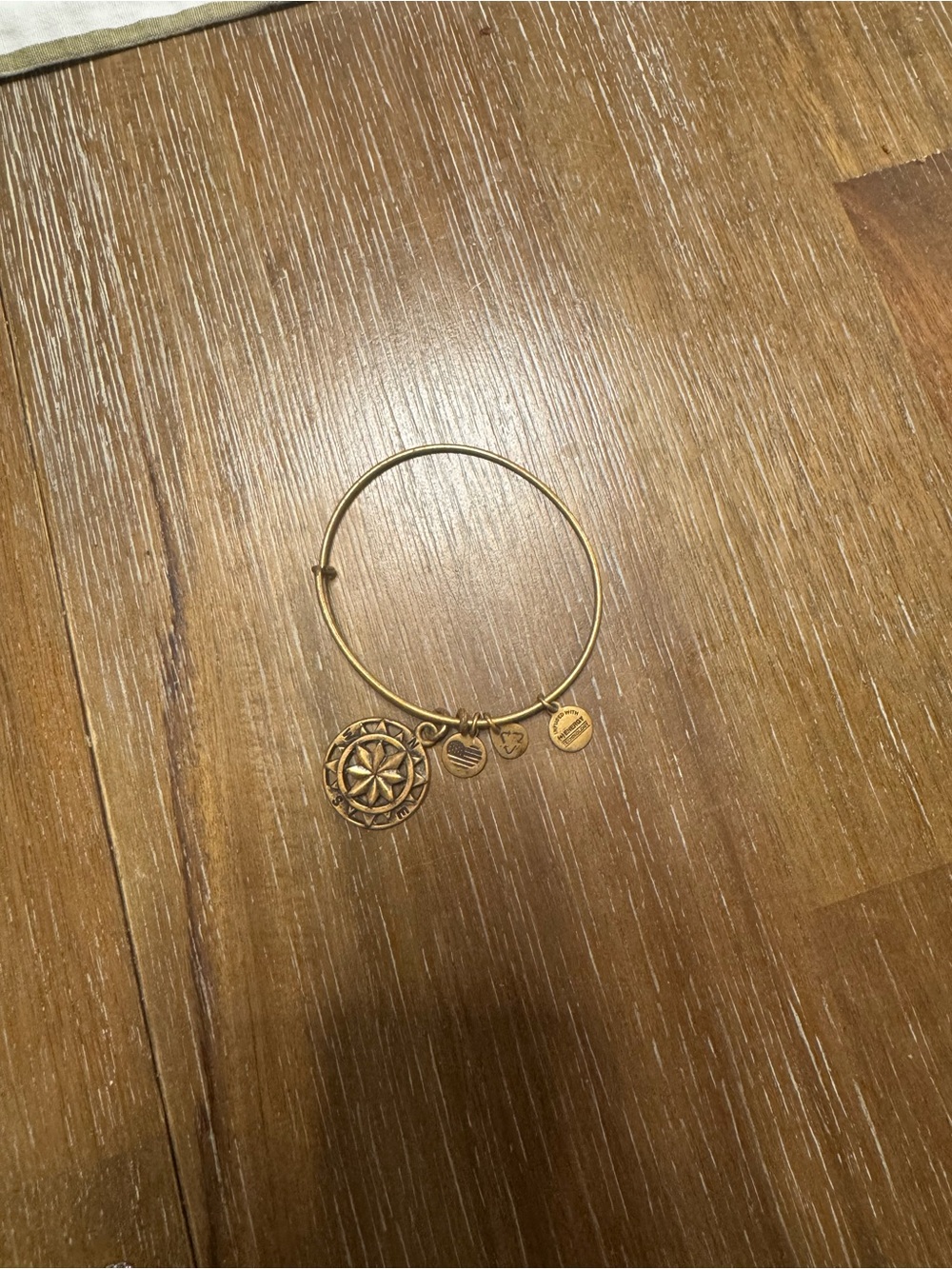 Alex & Ani Gold Tone Compass Charm Bangle Bracelet